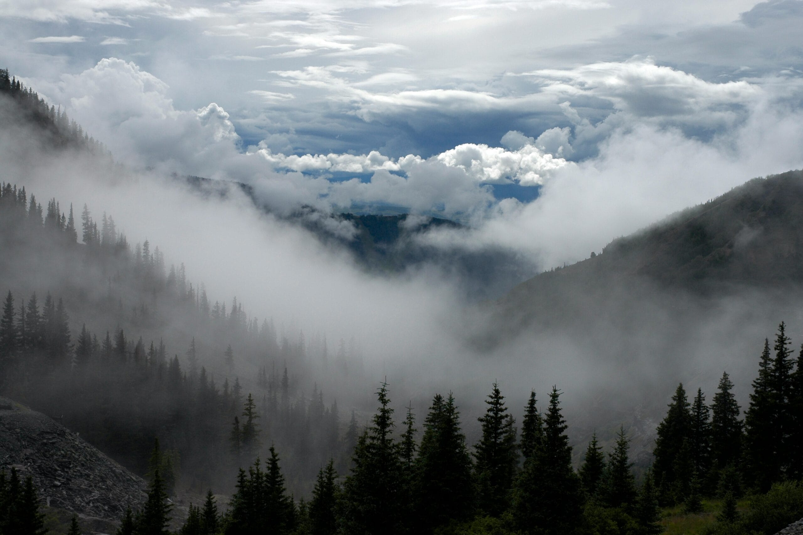 Misty mountain landscape with evergreen forests